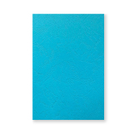 优彩嘉 彩色皮纹纸 A4 230g 湖蓝色 1507 包