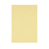 优彩嘉 彩色皮纹纸 A4 230g 米黄色 1502 包