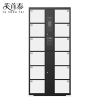 芙首泰智能储物柜人脸识别12门850*460*1800mm台