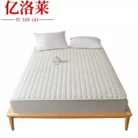 亿洛莱 褥子 120*200cm 张