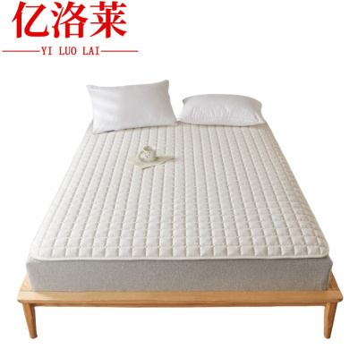 亿洛莱 床褥 100*200cm 张