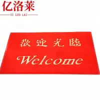 亿洛莱 脚垫 60*80cm 张