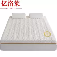 亿洛莱 床垫软垫 90*190cm 张