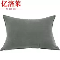 亿洛莱 靠枕 60*90cm 个