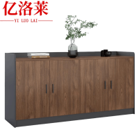 亿洛莱 文件柜 160*40*80cm 个