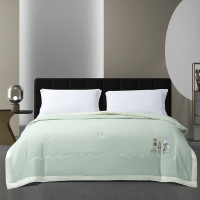 博洋宝贝大豆纤维空调被-初夏BYXWLG233-410