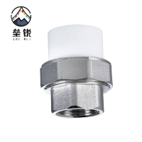 垒锐 PPR内牙活接 一寸 个