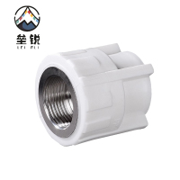 垒锐 PPR内牙直接 6分 个