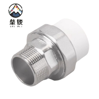 垒锐 PPR外牙活接 6分 个