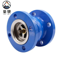 垒锐 止逆阀DN50 个