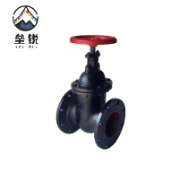 垒锐 铸铁法兰闸阀 DN200 个