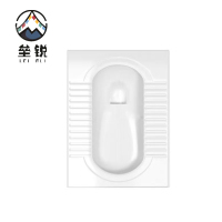 垒锐 蹲便 55cm*43cm 个