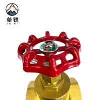垒锐 铜闸阀 6分 个