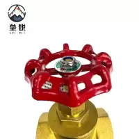 垒锐 铜闸阀 6分 个