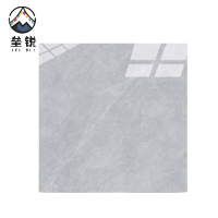 垒锐 瓷砖 300mm*600mm 块