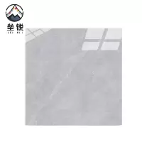 垒锐 瓷砖 300mm*600mm 块