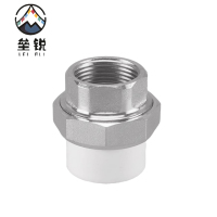 垒锐PPR内牙活接 4分 个