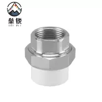 垒锐PPR内牙活接 4分 个