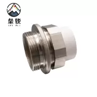 垒锐PPR热熔补芯(正反扣) 一寸 个