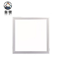 垒锐LED方形灯 300MM*300MM 个