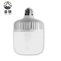 垒锐LED灯泡 5W 个