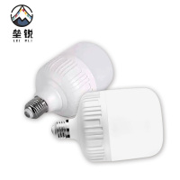 垒锐LED灯泡 60W 个