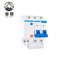 垒锐漏电保护器 40A 个