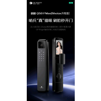 德施曼智能锁Q50FMax(哨兵升级版)
