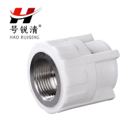 号锐清PPR内牙直接 6分 个