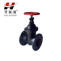 号锐清铸铁法兰闸阀 DN200 个