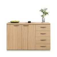 班龙资料柜两门四抽台