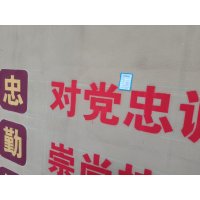 黑雁 墙绘 100*100cm 平方米