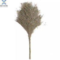 欣欣妍宸 无叶竹扫把大扫把 YC-大号 个