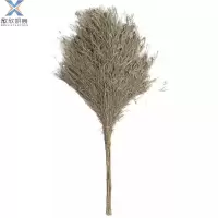 欣欣妍宸 竹扫把大扫把 YC-常规 个
