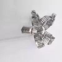 欣欣妍宸 304不锈钢喉箍 10-16mm/个