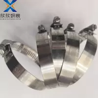 欣欣妍宸 304不锈钢喉箍 40-63mm/个