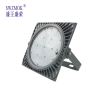 盛王盛荣  LED 泛光灯