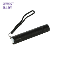 盛王盛荣 强光防爆电筒