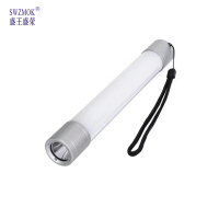 盛王盛荣 LED 棒管灯