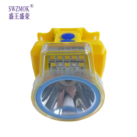 盛王盛荣 LED多功能头灯	超长 续航/个