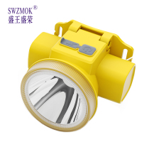 盛王盛荣 LED微型头灯 防雨/个