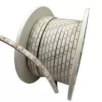 盛王盛荣 LED灯带