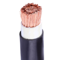 佰裕 护套线黑色 RVV 5X2.5 米