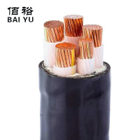 佰裕 铜芯铠装电缆 ZC-YJV22 0.6/1KV 5*16 米