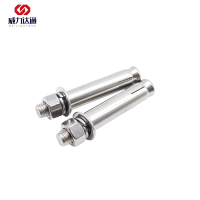 威力达通 不锈钢膨胀螺栓 M12*100 个