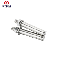 威力达通 不锈钢膨胀螺栓 M6*60 个