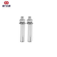 威力达通 不锈钢膨胀螺栓 M10*100 个