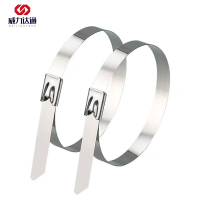 威力达通 不锈钢扎带 20*1500mm 根