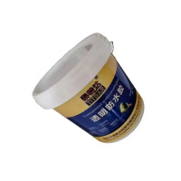 泰特达 透明防水胶 5KG透明色 桶