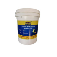 泰特达 陶瓷修补剂 20KG(白色) 桶